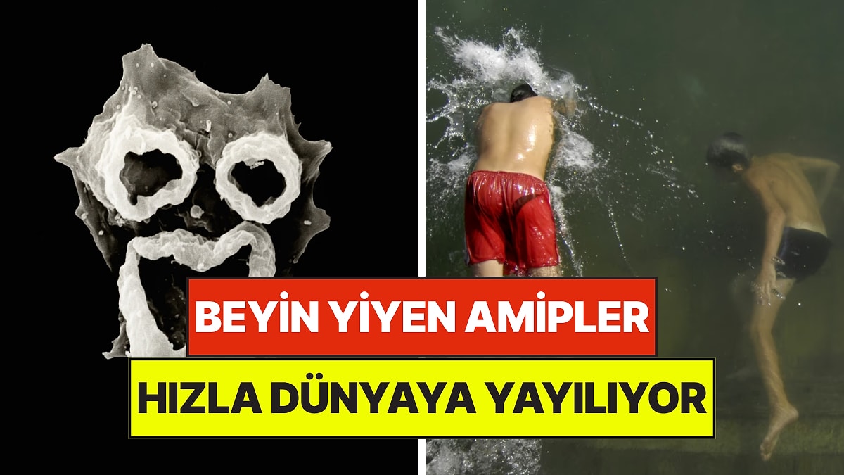 Uzmanlar Alarma Geçti: Beyin Yiyen Amip "Korku Filmi Gibi" Dünyaya Yayılıyor