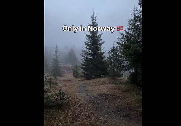 Bu sistem, Norveç'te oldukça yaygın olan ve "Dürüstlük Kulübesi" olarak adlandırılan, tamamen toplumsal güven esasına dayalı bir self-servis alışveriş modeli