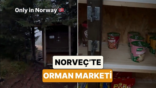 İskandinavya'da Dürüstlük Testi: Norveç Dağlarındaki Sahipsiz Mini Market Kulübesi Hayran Bıraktı