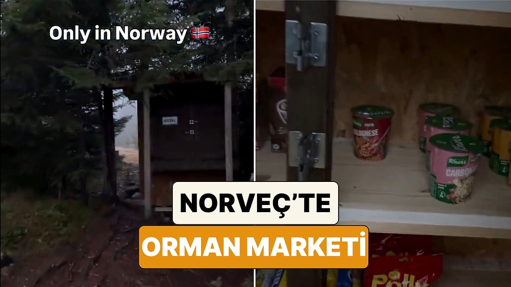 İskandinavya'da Dürüstlük Testi: Norveç Dağlarındaki Sahipsiz Mini Market Kulübesi Hayran Bıraktı