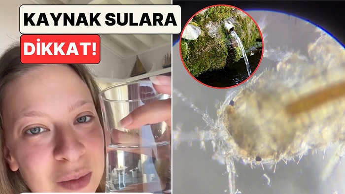 Ne Kadar Güvenli? Genetik Mühendisi Dilara Sarı İçtiği Kaynak Suyunu Mikroskop Altında İnceledi