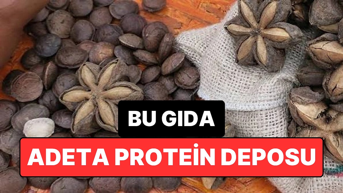 Protein Bombası! Yıldız Şeklindeki Bu Tohum Sağlıklı Beslenmenin Yeni Gözdesi Oldu