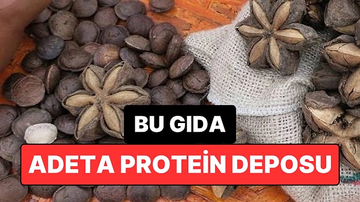 Protein Bombası! Yıldız Şeklindeki Bu Tohum Sağlıklı Beslenmenin Yeni Gözdesi Oldu