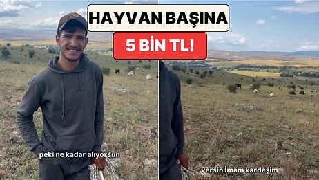 Çoban Maaşları Ne Kadar? Aylık 100 Bin Lira Kazanan Genç Çoban Çalışma Şartlarını ve Gelirini Anlattı