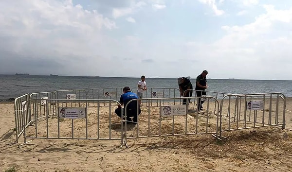 Bilimsel İncelemeler Bitkinin Koruma Altındaki Kum Zambağı Olduğunu Ortaya Çıkardı