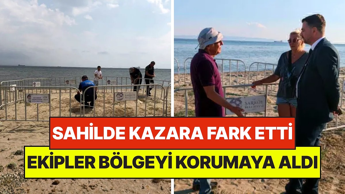Şarköy'de Sahilde Gezerken Fark Etti: Ekipler Hemen Harekete Geçerek Bölgeyi Korumaya Aldı