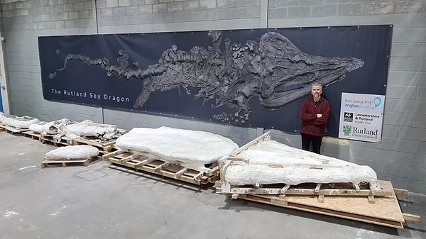 Popüler isminin aksine bu dev canlılar dinozorlar sınıfına dahil edilmiyor
