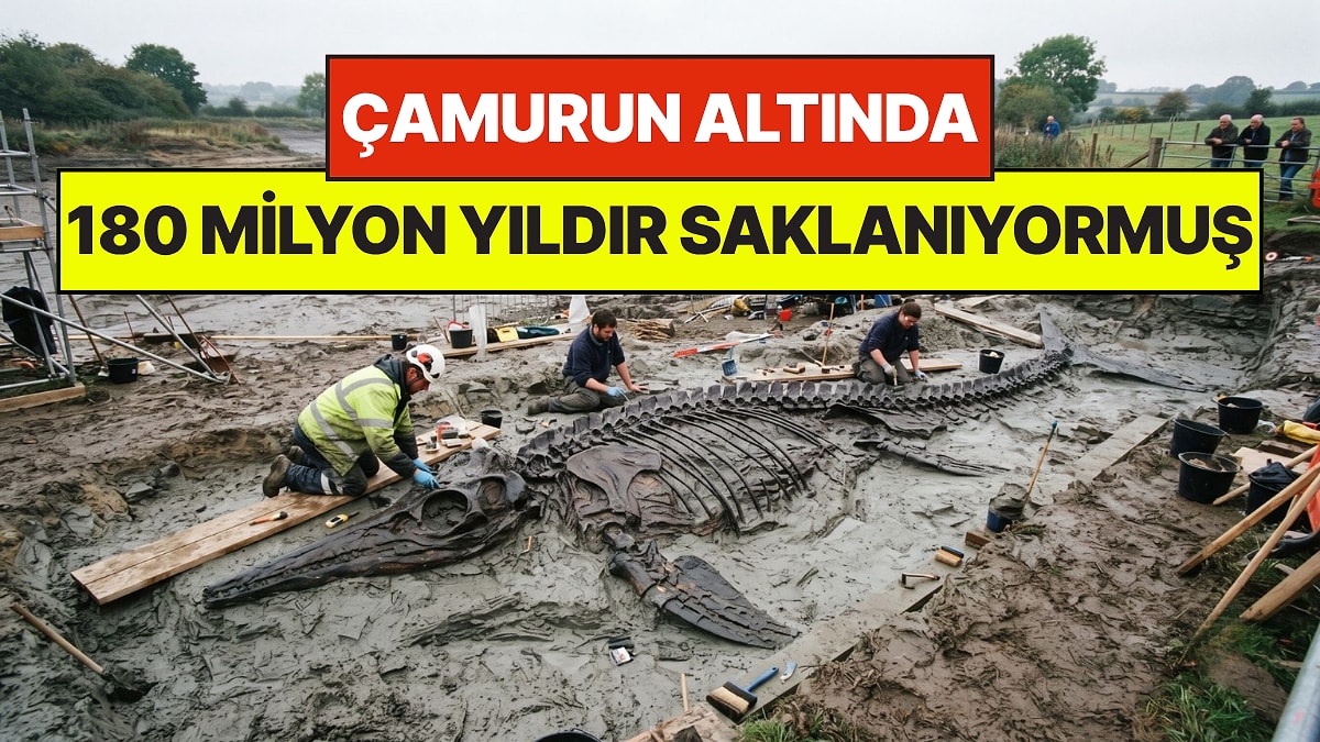 Temizlik Yaparken Hayatının Şokunu Yaşadı: Çamurun Altından 180 Milyon Yıllık Dev Canlı Çıktı