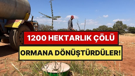 Çölün Ortasına Koydukları Kutu 1200 Hektarı Ormana Dönüştürdü