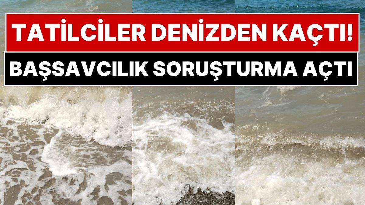 Tatil Cenneti Bodrum'da Çevre Katliamı Şüphesi: Tüm Tekneler ve Kooperatifler Mercek Altında