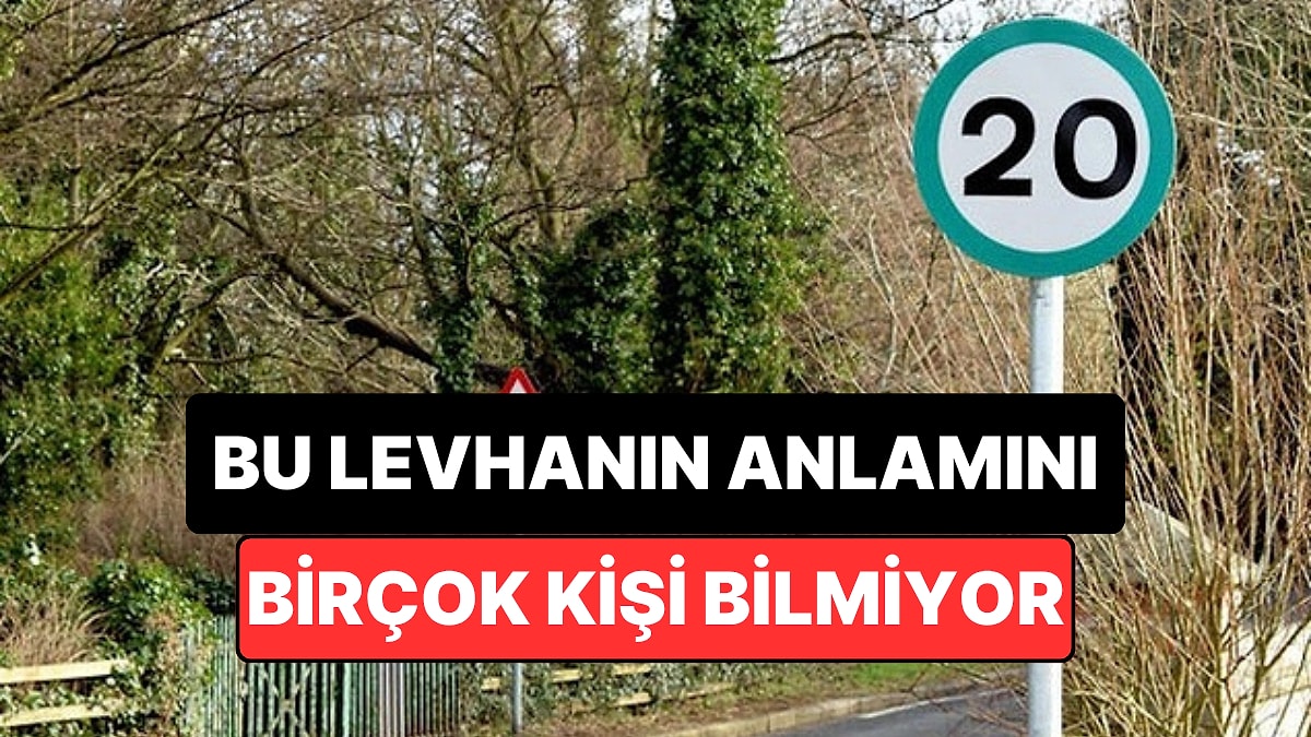 Kırmızı Değil Yeşil! Bu Yeni Trafik Tabelasının Anlamını Çok Az Kişi Biliyor