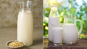 Which Type of Milk is the Healthiest?