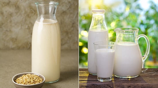 Which Type of Milk is the Healthiest?