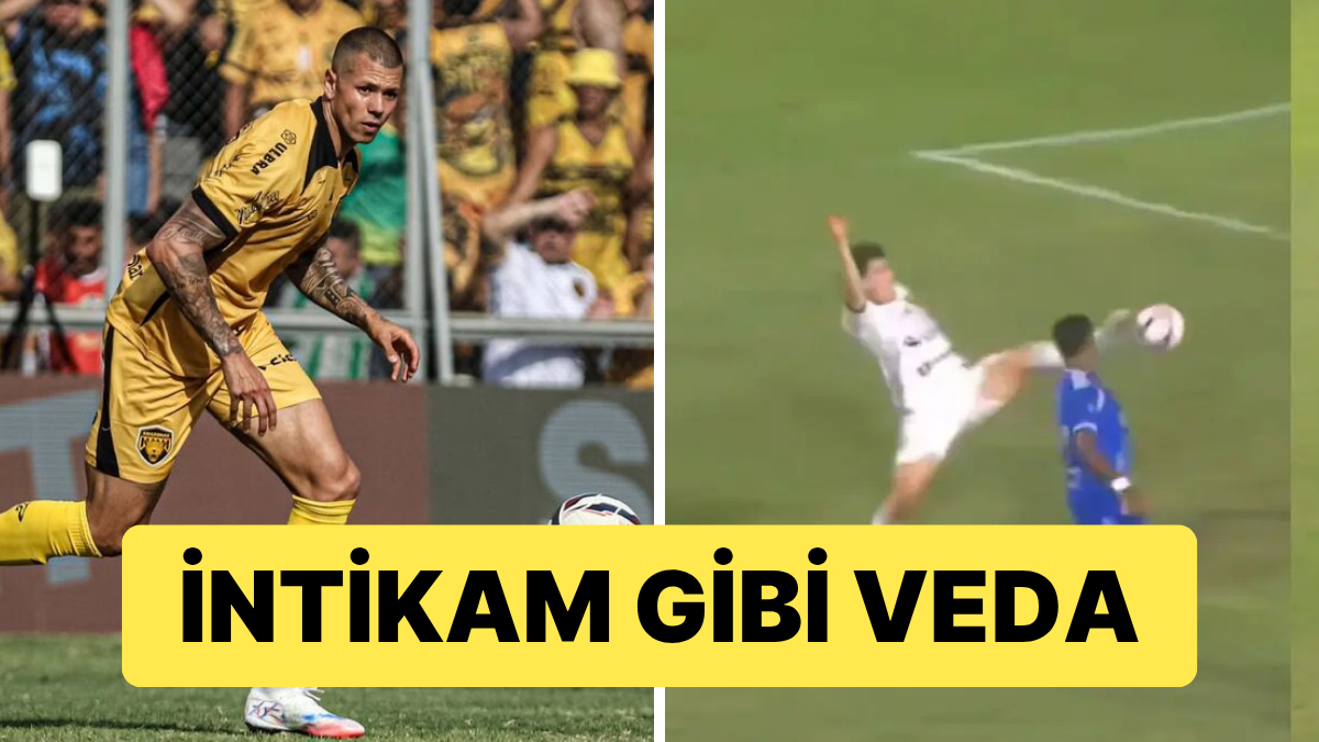 s-57e8cfda76ab0ea7fd2097888289cc322d9decea.jpg
