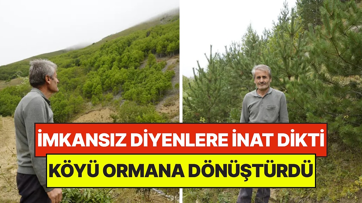“Burada Yetişmez” Diyenlere İnat Dikti: 40 Yılda Çorak Köyü Ormana Çevirdi