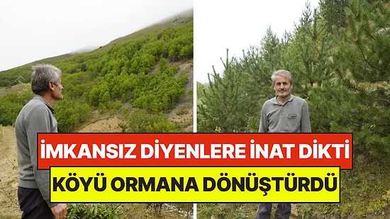 “Burada Yetişmez” Diyenlere İnat Dikti: 40 Yılda Çorak Köyü Ormana Çevirdi