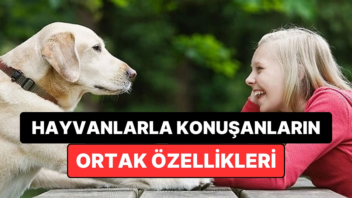 Psikolojiye Göre Sokaktaki Hayvanlarla Konuşan İnsanların Ortak Özellikleri Açıklandı