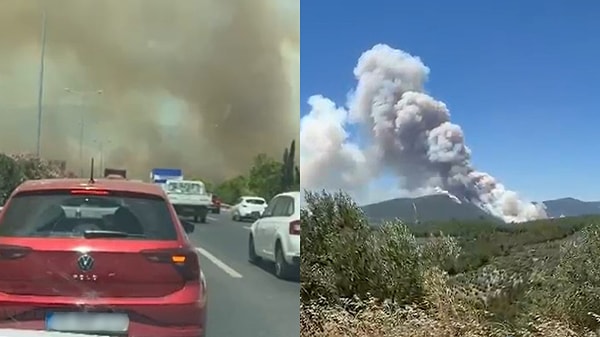 Manisa'daki orman yangını İzmir-İstanbul Otoyolu'na ulaştı.
