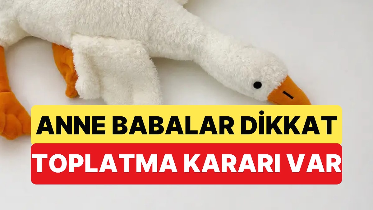 Ticaret Bakanlığı Çocukların Oynadığı Peluş Oyuncaklardan Biri İçin Toplatma Kararı Aldı