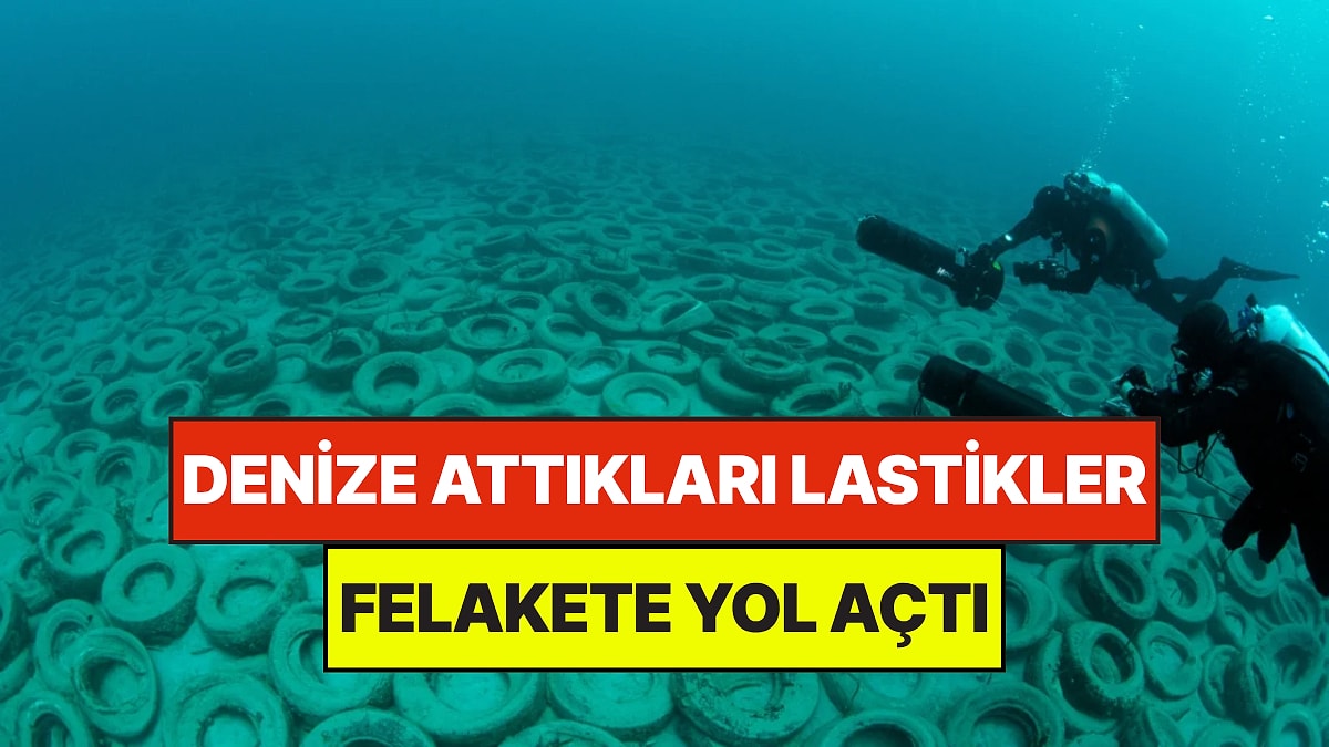 Denize Attıkları Milyonlarca Lastik Felakete Yol Açtı: Tek Bir Canlı Kalmadı
