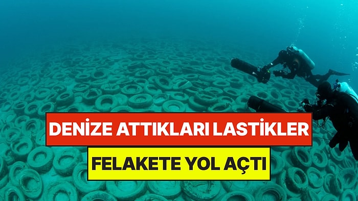 Denize Attıkları Milyonlarca Lastik Felakete Yol Açtı: Tek Bir Canlı Kalmadı