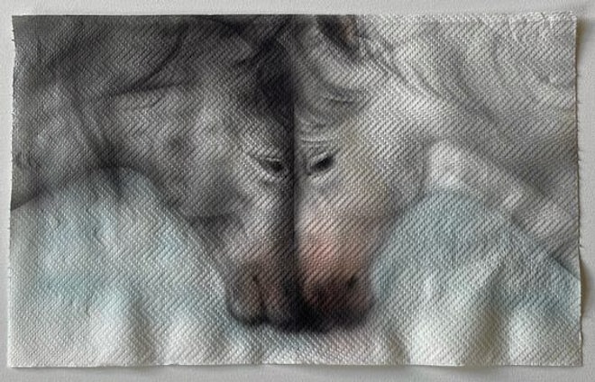 Paper Towels Instead of Canvas: Helena Minginowicz's Stunning Renaissance-Inspired Fragile Art!