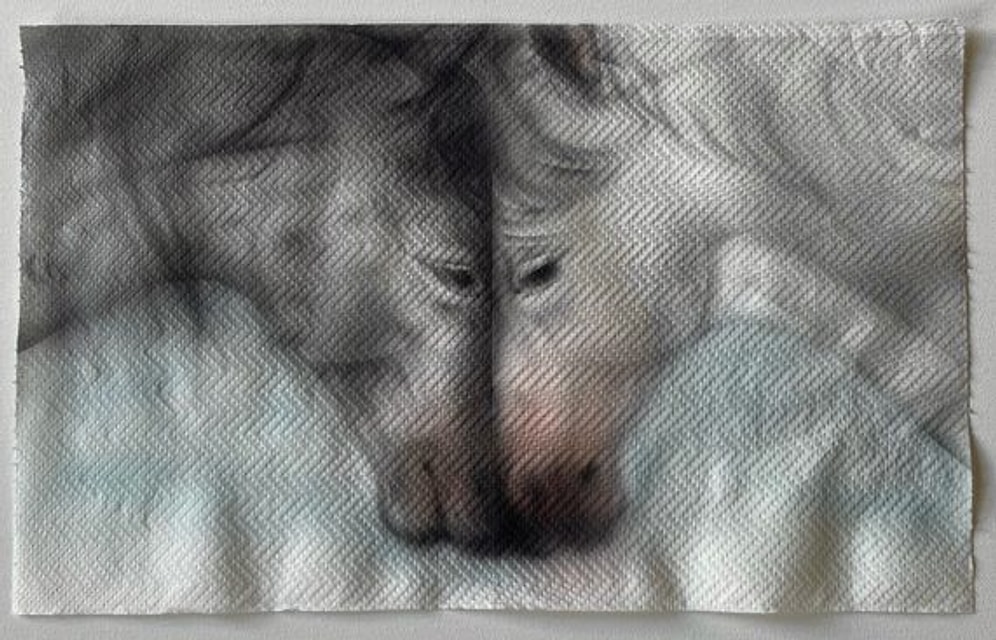 Paper Towels Instead of Canvas: Helena Minginowicz's Stunning Renaissance-Inspired Fragile Art!