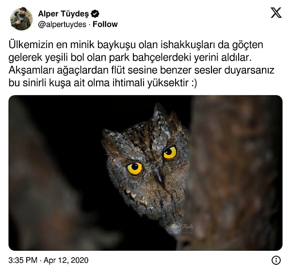 Yaban Hayatı Fotoğrafçısı Alper Tüydeş, İshak kuşunun gelişini, geçtiğimiz yıllarda böyle duyurmuştu.