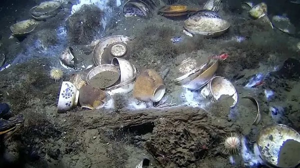 Modern trol teknelerinin geçmişte enkaza hafif zarar vermiş olmasına rağmen, geminin taşıdığı lüks kargo neredeyse ilk günkü gibi duruyor.
