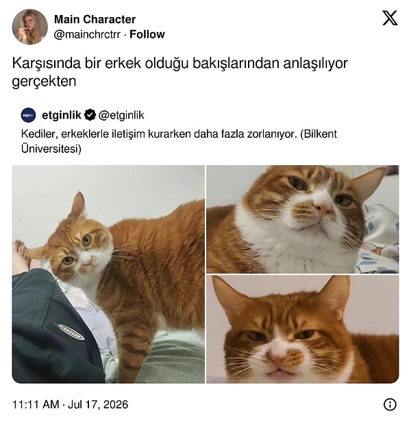 👇