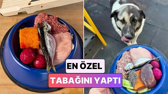 Eski MasterChef Yarışmacısı Emir Elidemir Bir Sokak Köpeği İçin Ziyafet Hazırladı