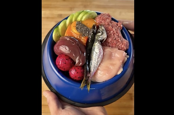 Is this dish suitable for our furry friends?