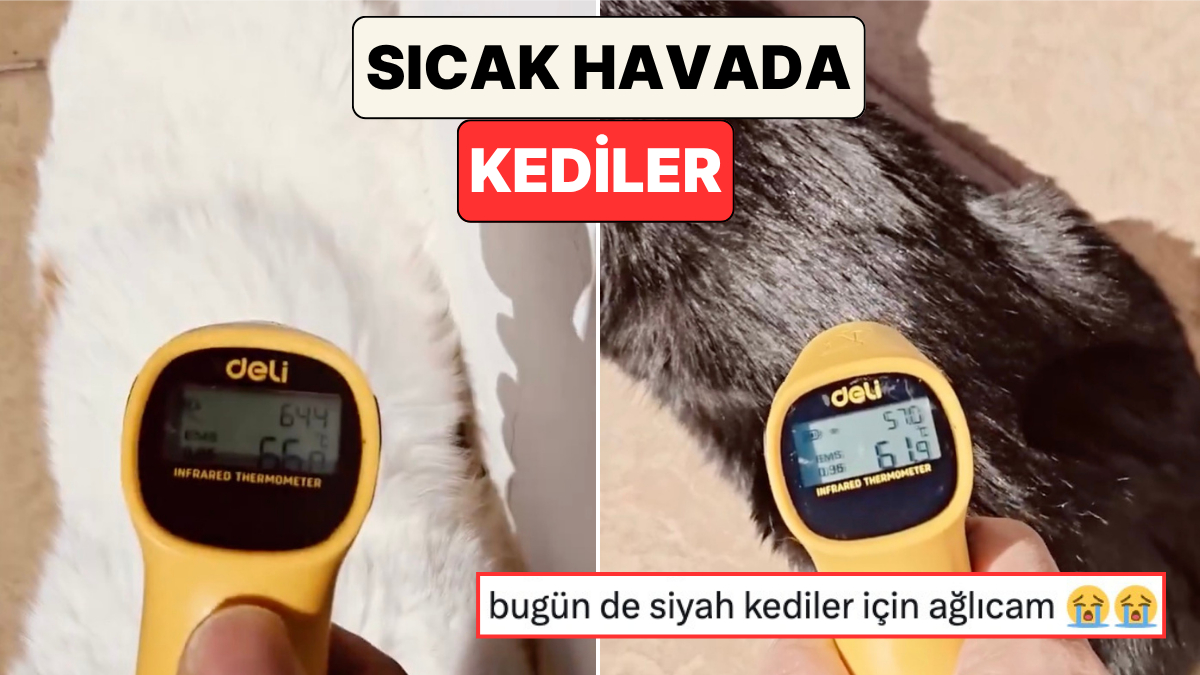s-b7a2f6e08f755130714574ac679dffae26785836.jpg