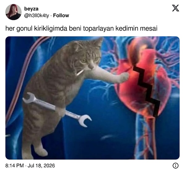 👇