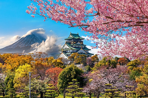 Senin Gideceğin Ülke Japonya!