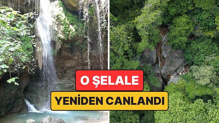 Ormanın İçindeki Saklı Şelale Bu Yıl Yağışlarla Yeniden Coştu