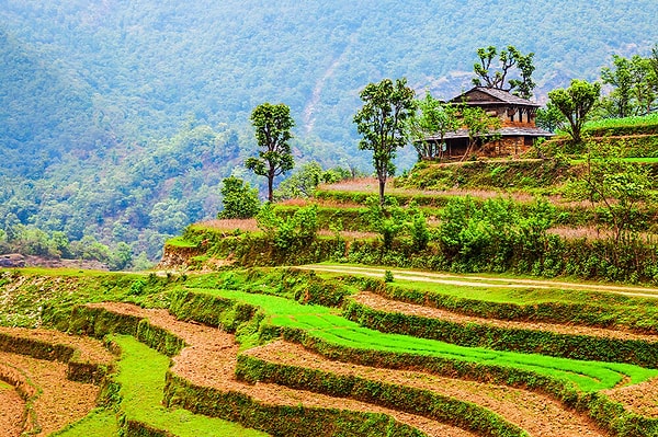Nepal Yoga Turu!