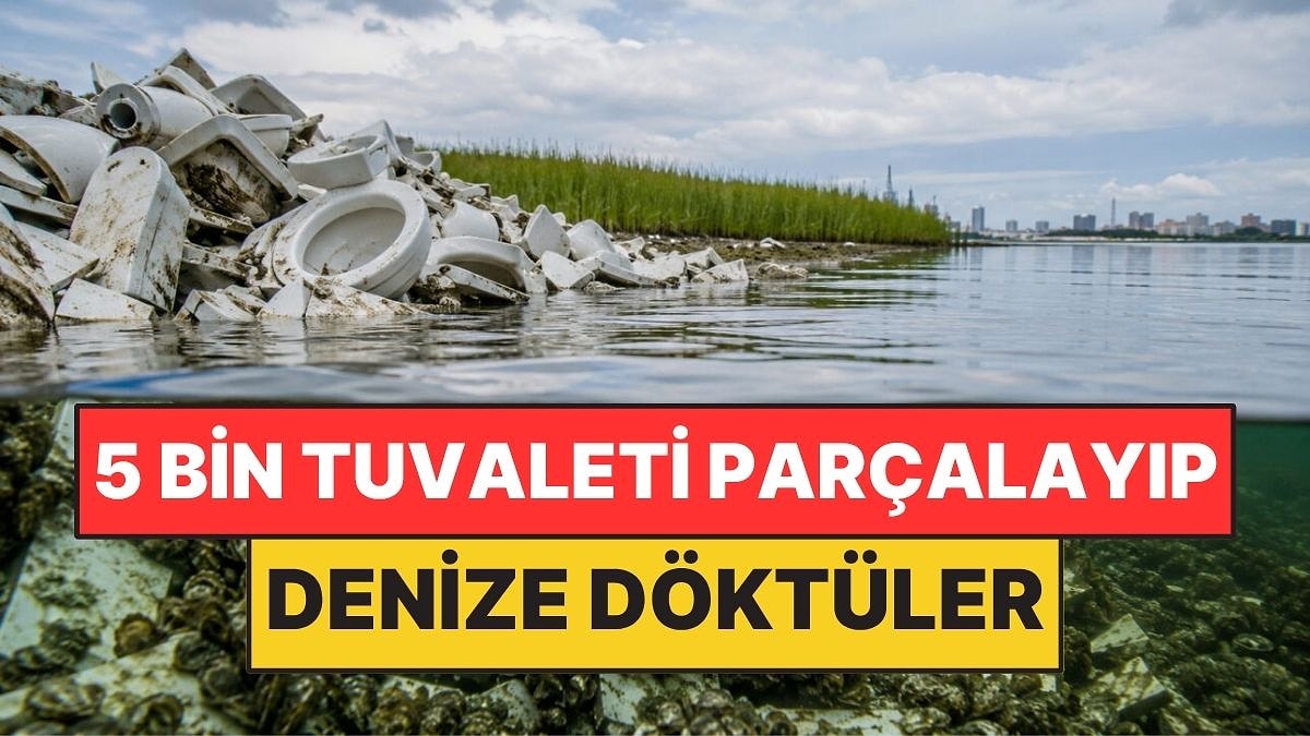 5 Bin Eski Tuvaleti Parçalayıp Denize Döktüler: Yeni Yaşam Alanı Oldu