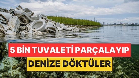 5 Bin Eski Tuvaleti Parçalayıp Denize Döktüler: Yeni Yaşam Alanı Oldu