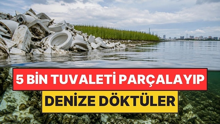 5 Bin Eski Tuvaleti Parçalayıp Denize Döktüler: Yeni Yaşam Alanı Oldu
