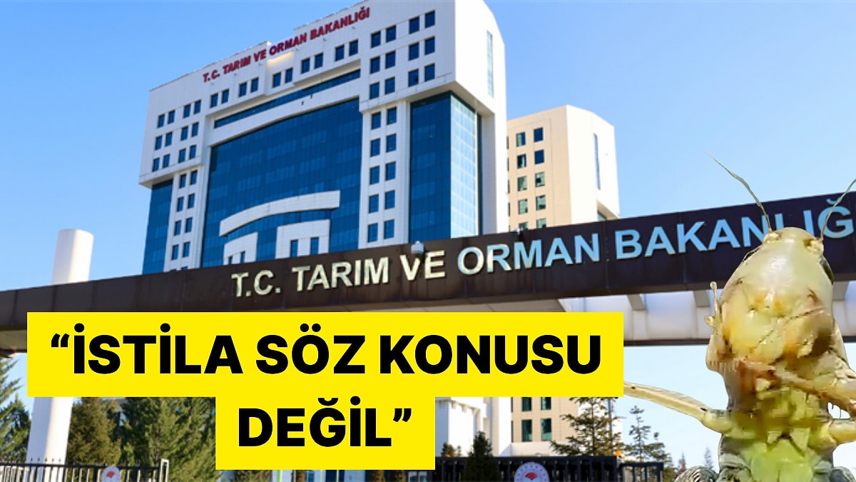 Tarım ve Orman Bakanlığı İstanbul ve Çevresindeki Çekirge İstilası İddialarını Yalanladı