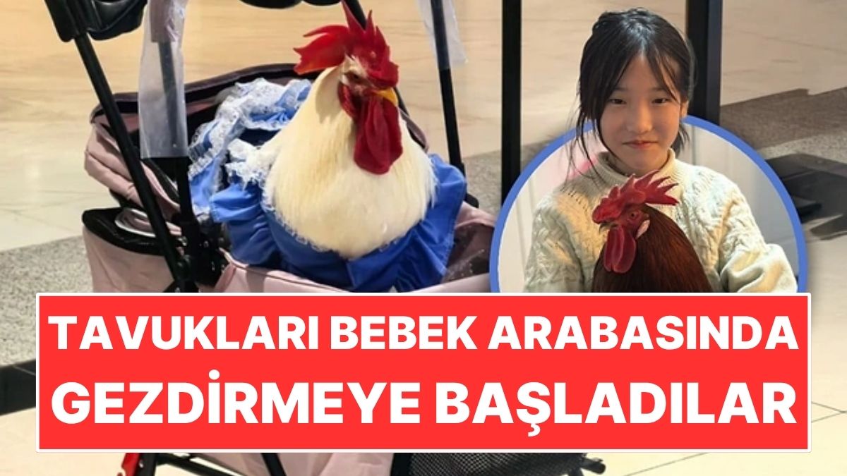 s-b4b3adfdf3a794987a6c51f6d9d981efd998e6c4.jpg