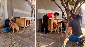 Truck Driver With No Carpentry Experience Built 1,700 Shelters and Helped 5,000 Stray Animals