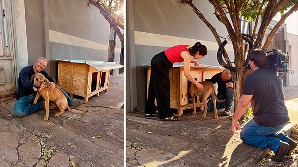Truck Driver With No Carpentry Experience Built 1,700 Shelters and Helped 5,000 Stray Animals