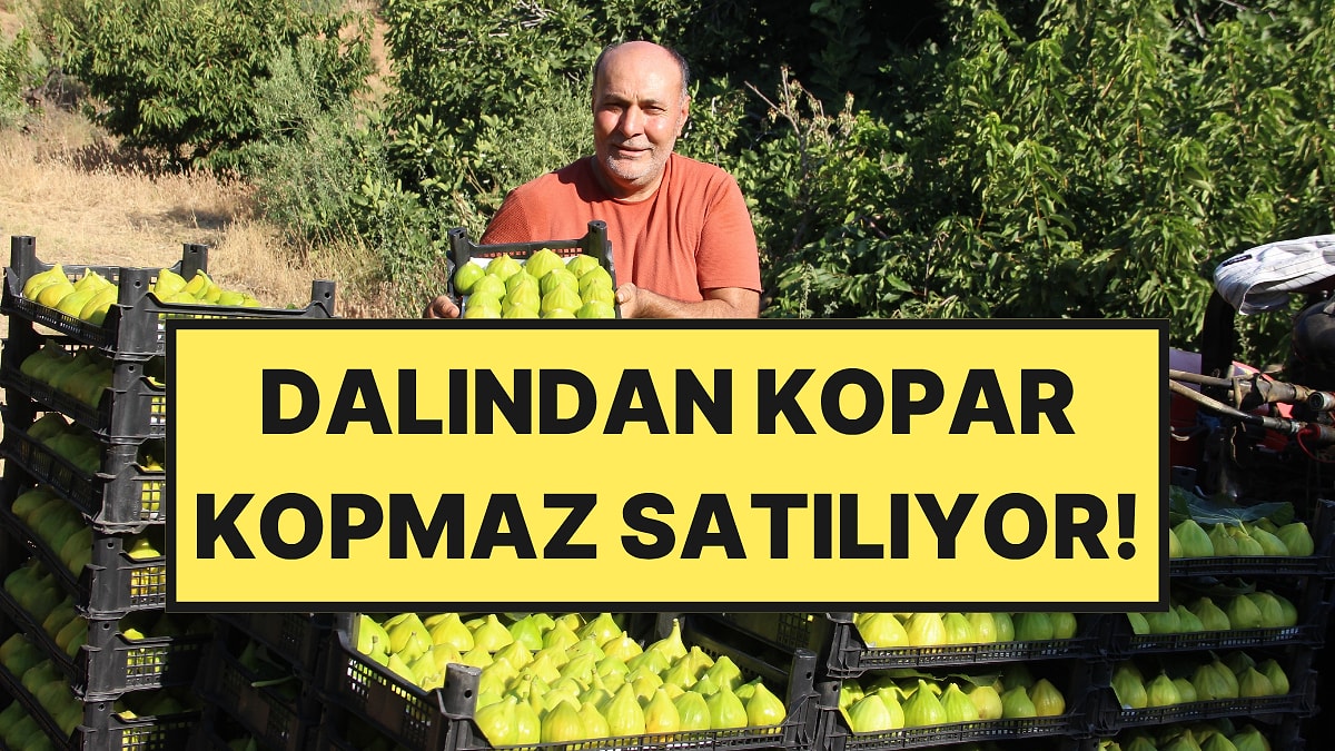 1 Ayda 50 Liradan 250 Liraya Fırladı: Hasatta Son Gelindi, 30 Şehirden Sipariş Yağıyor