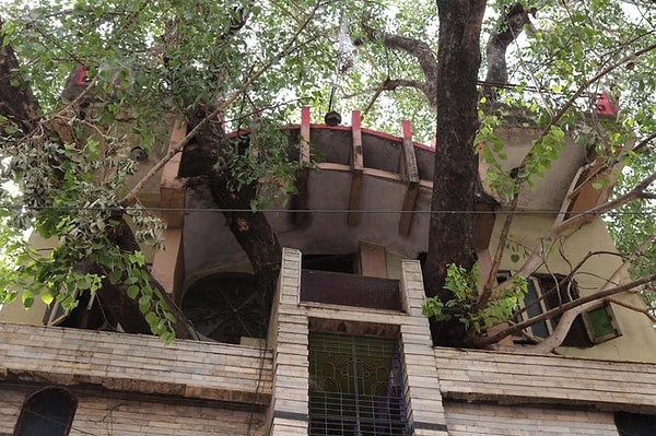 4-Story House Built Around a 150-Year-Old Tree