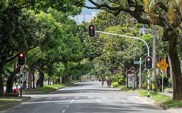 As part of the "Green Corridors" project launched in 2016, previously disconnected green spaces were interconnected into a vast ecological network.
