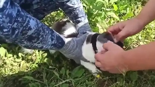 Yetkililer, olayda kullanılan masum hayvanın veteriner kontrolünden geçirildiğini ve hiçbir fiziksel zarar görmediği anlaşıldıktan sonra doğal ortamına geri bırakıldığını bildirdi.