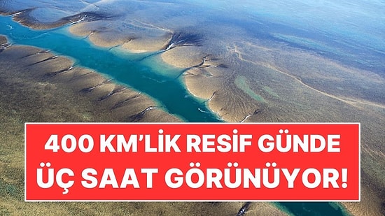 400 Kilometrekarelik Resif Günde Sadece Üç Saat Görünüyor: Sonra Sular Yutuyor