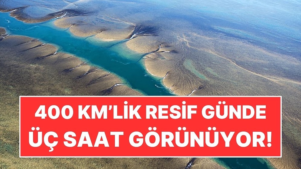 400 Kilometrekarelik Resif Günde Sadece Üç Saat Görünüyor: Sonra Sular Yutuyor
